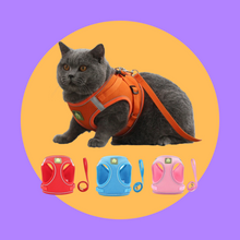Load image into Gallery viewer, Padded Reflective Pet Harness With Leash