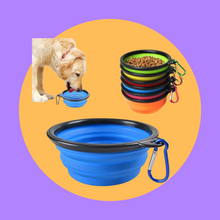 Load image into Gallery viewer, Collapsible Folding Bowl and Bottle Traveler