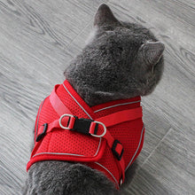 Load image into Gallery viewer, Padded Reflective Pet Harness With Leash - Shaggy Waggy Pets