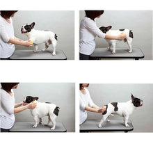 Load image into Gallery viewer, Gentle Pet Washer Brush - Shaggy Waggy Pets