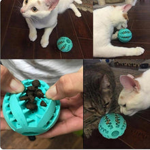 Load image into Gallery viewer, Rubber Ball With Food Holes - Shaggy Waggy Pets
