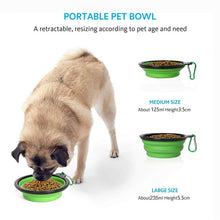 Load image into Gallery viewer, Collapsible Folding Bowl and Bottle Traveler - Shaggy Waggy Pets
