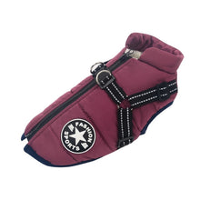 Load image into Gallery viewer, Warm Waterproof Dog Coat - Shaggy Waggy Pets
